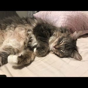 Meet your Posher, Giulia